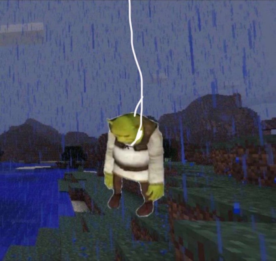 Image du questionnaire